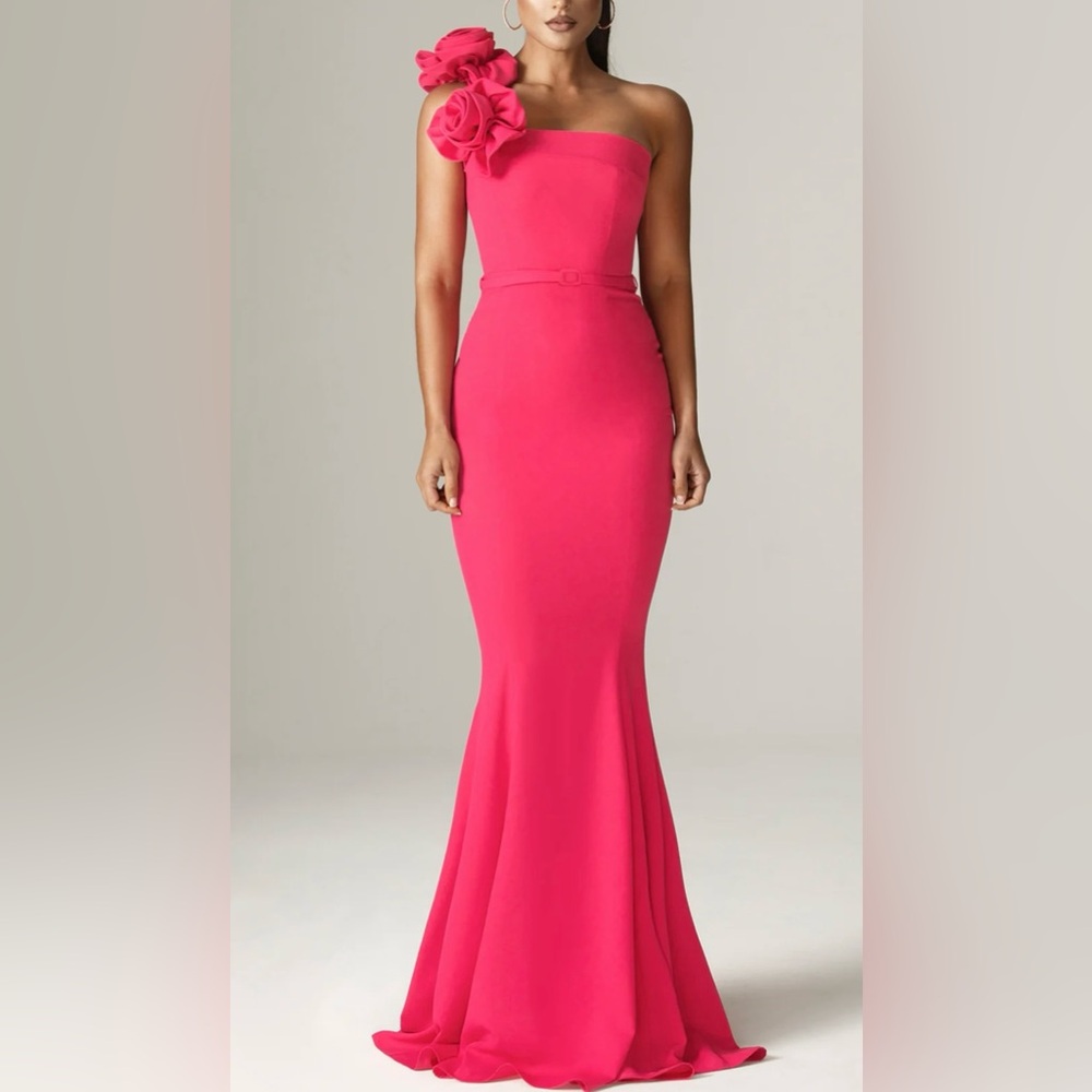 BNWT Aliava Rona 3D Flowers Corset Maxi Gown (Fushia)